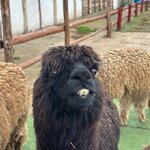 Photo taken by Helen M