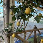 Photo taken by Lori K