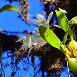 Photo taken by sarah p