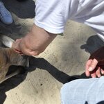 Photo taken by Linnaea M