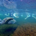 Photo taken by Katherine A