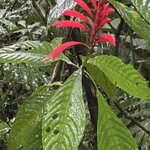 Photo taken by Kim L