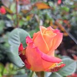 Photo taken by Jayme B