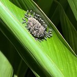 Photo taken by Patrice G