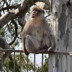 Photo taken by Linda L