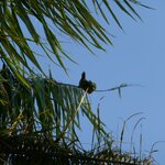 Photo taken by Kristen L