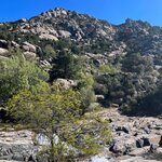 Photo taken by Joey R