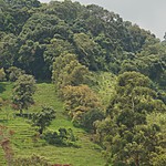 Photo taken by Janice B