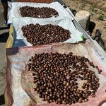 Photo taken by Janelle D