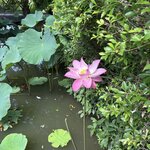 Photo taken by Dianne M