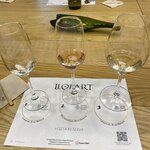 Photo taken by Susan M