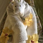 Photo taken by Anna L