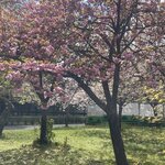 Photo taken by Caz J