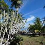 Photo taken by Brett F