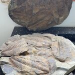 Photo taken by Monika S