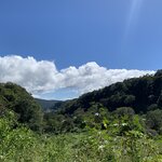 Photo taken by Luke T