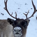 Photo taken by Elissa P