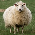 Photo taken by Jane V