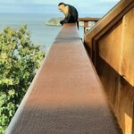 Photo taken by Hannah S