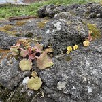 Photo taken by Catherine H