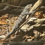 Photo taken by Bonnie Y