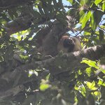 Photo taken by Bonnie Y