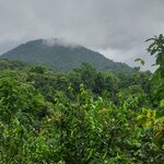 Photo taken by Kathy K