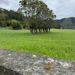 Photo taken by Catherine H