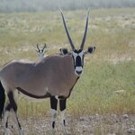 Photo taken by Sandro P