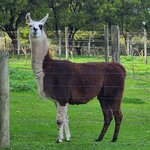 Photo taken by Maggie W