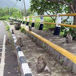 Photo taken by Mary S