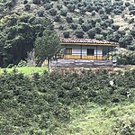 Photo taken by Janice B