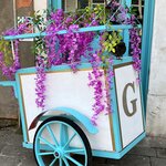 Photo taken by Amanda F