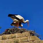 Photo taken by Bianca C