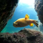 Photo taken by Katherine A