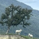 Photo taken by Judith C