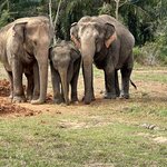 Photo taken by Kim B