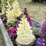 Photo taken by Ray R