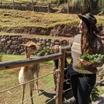 Photo taken by Ciarra N