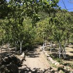 Photo taken by Victoria P