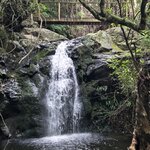 Photo taken by Laura C