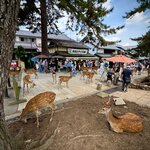 Photo taken by Mallory A