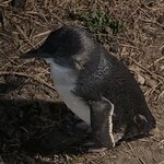 Photo taken by Julie H