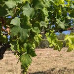 Photo taken by Lyon K