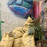 Photo taken by Erin K