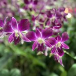 Photo taken by Rob C