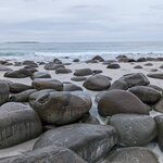 Photo taken by Dani L