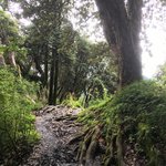 Photo taken by Joanna K