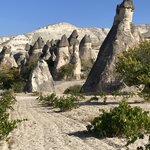 Photo taken by Donna G