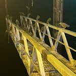 Photo taken by Dennis N